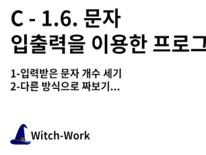 C - 1.6. 문자 입출력을 이용한 프로그램1 사진